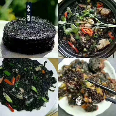 福(fu)建(jian)漳浦(pu)六鰲頭水紫菜